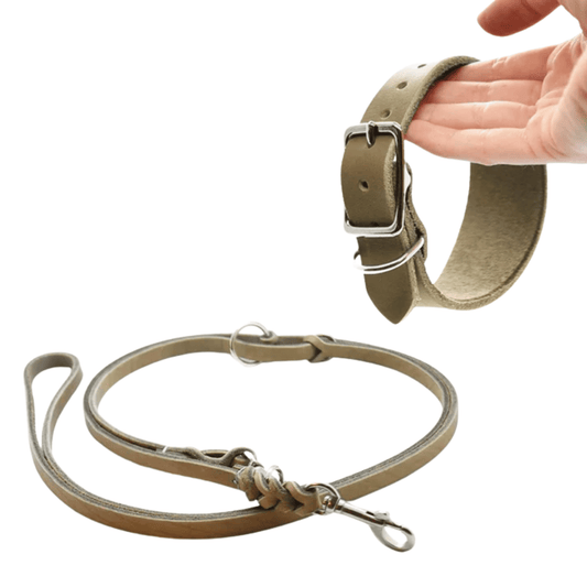 Set CLASSIC aus Fettleder | Breites Windhundhalsband und geflochtene Leine