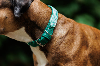 JUNGLE Hundehalsband schmal・Sommerliches Design