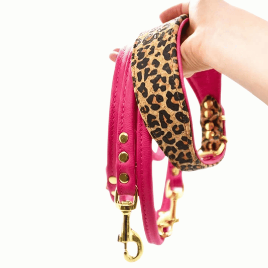 GOLDEN LEO Set | Windhundhalsband aus Korkleder & verstellbare Rundlederleine