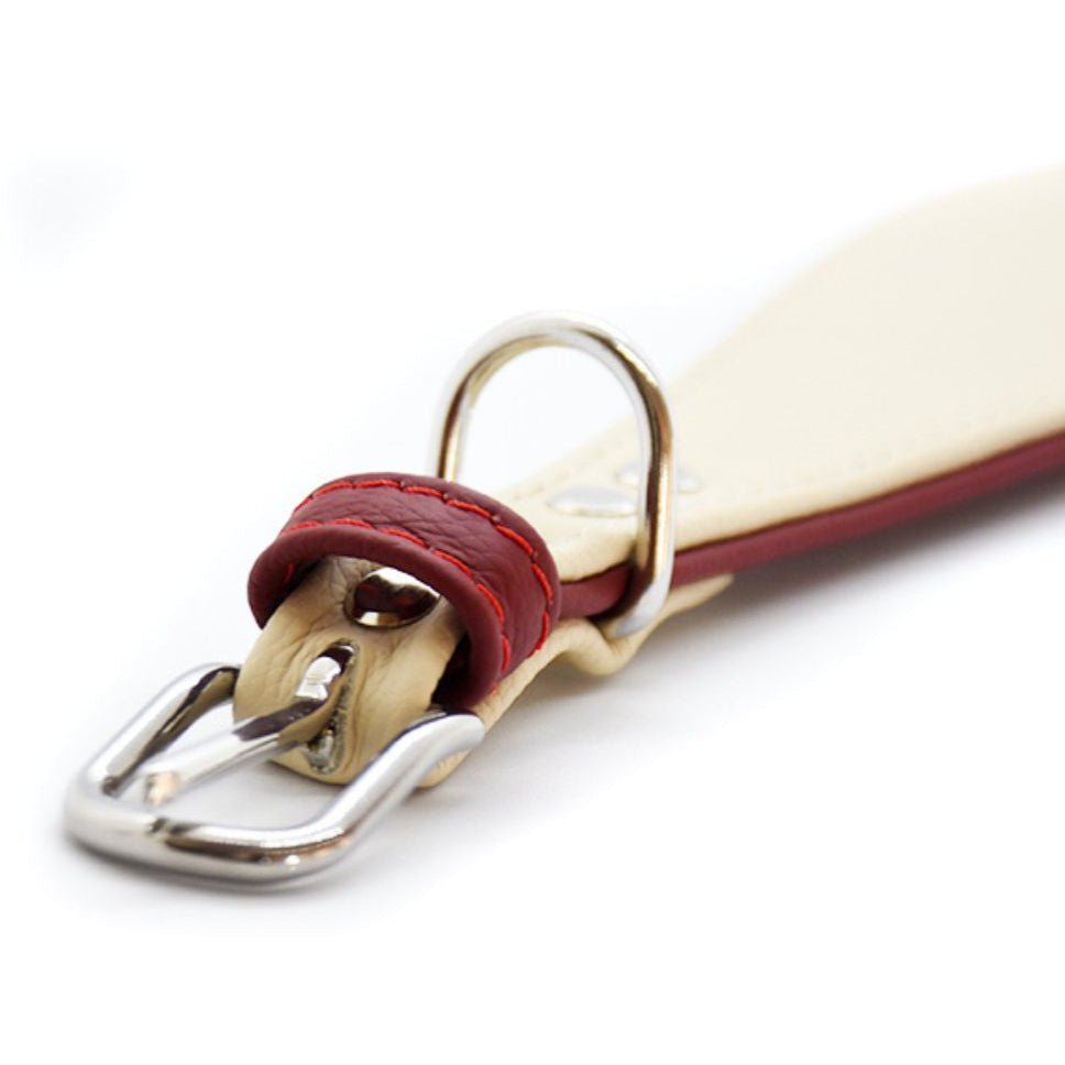 Lederhalsband WIndhund gepolstert mit Schnalle