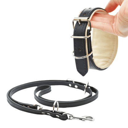 Set BASIC Windhund | Breites Lederhalsband und Rundlederleine