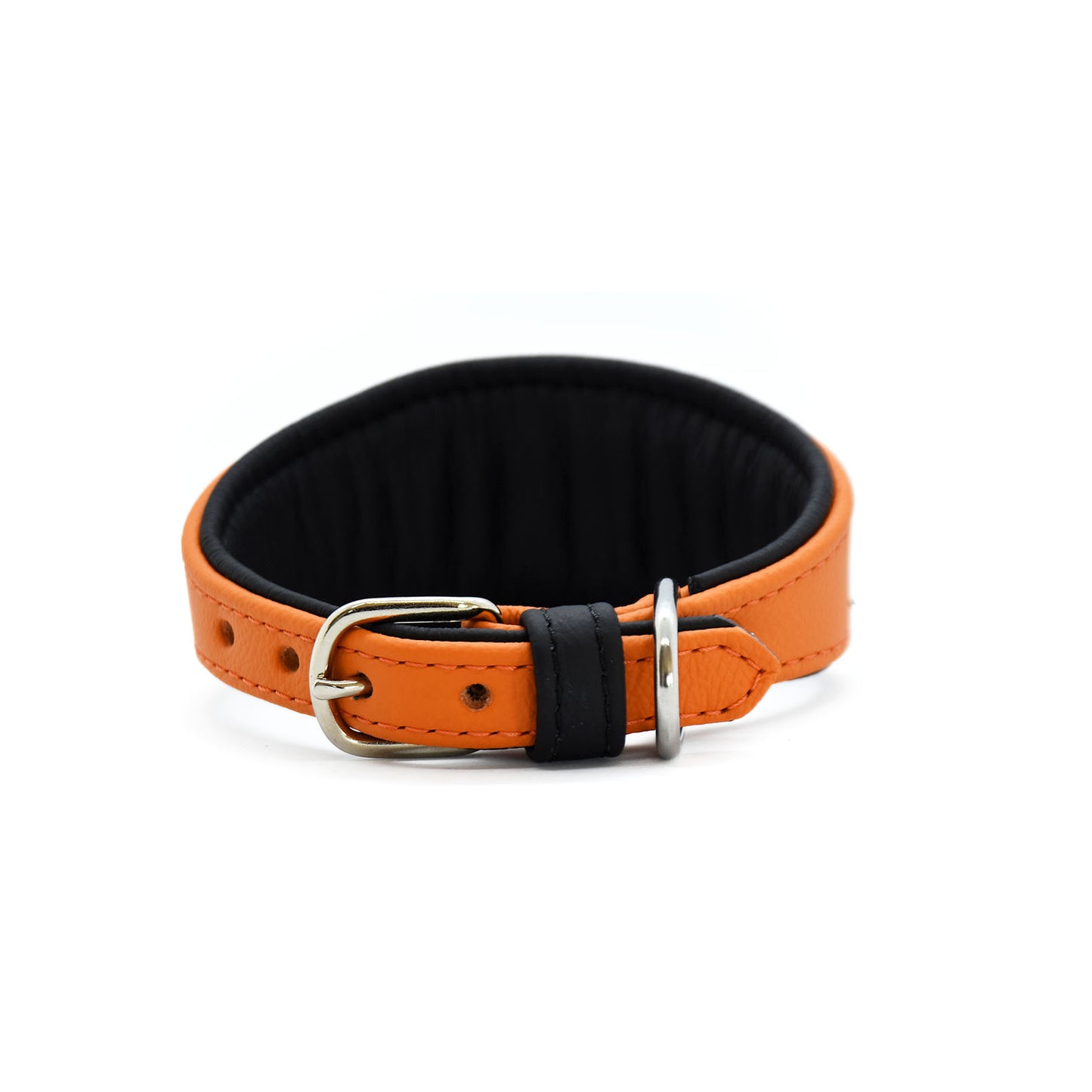 HALLOWEEN Hundehalsband für Windhunde | handgefertigt aus Leder mit Fledermaus Design, weich gepolstert