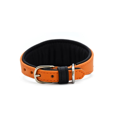 HALLOWEEN Hundehalsband für Windhunde | handgefertigt aus Leder mit Fledermaus Design, weich gepolstert