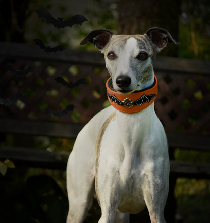HALLOWEEN Hundehalsband für Windhunde | handgefertigt aus Leder mit Fledermaus Design, weich gepolstert