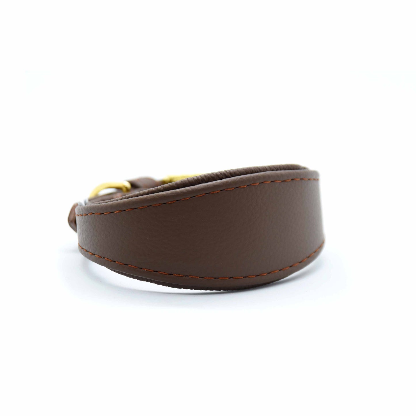 MINI BASIC- Breites Windhundhalsband für Kleinhunde/ Italienische Windspiele