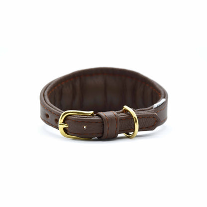 MINI BASIC- Breites Windhundhalsband für Kleinhunde/ Italienische Windspiele