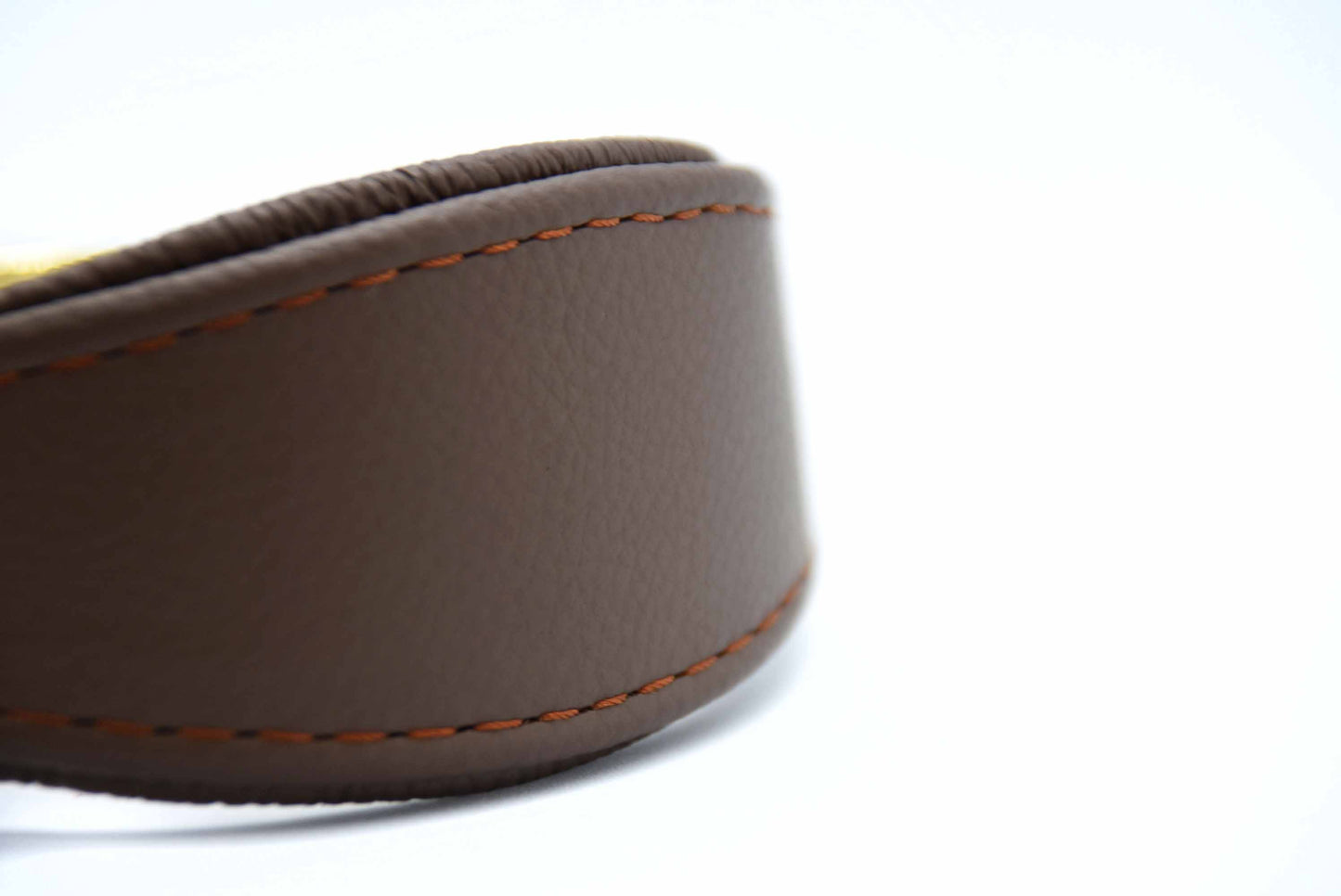 MINI BASIC- Breites Windhundhalsband für Kleinhunde/ Italienische Windspiele