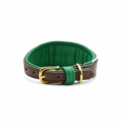 MINI BASIC- Breites Windhundhalsband für Kleinhunde/ Italienische Windspiele