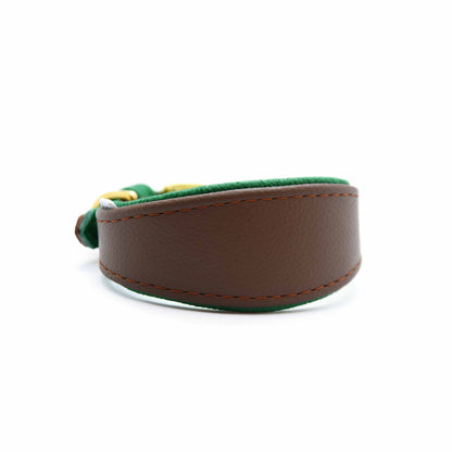 MINI BASIC- Breites Windhundhalsband für Kleinhunde/ Italienische Windspiele