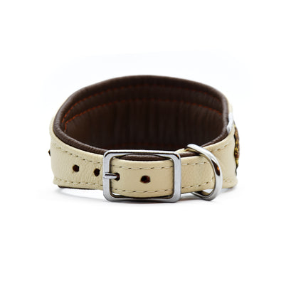 Halsband HAZEL mit Borte • Windhund • gepolstertes Lederhalsband