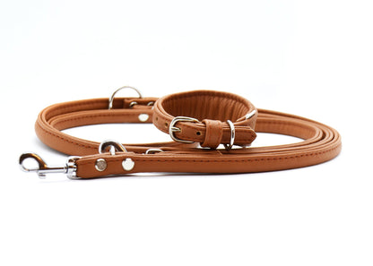 MINI Set・Halsband und Leine für Kleinhunde/ Italienische Windspiele