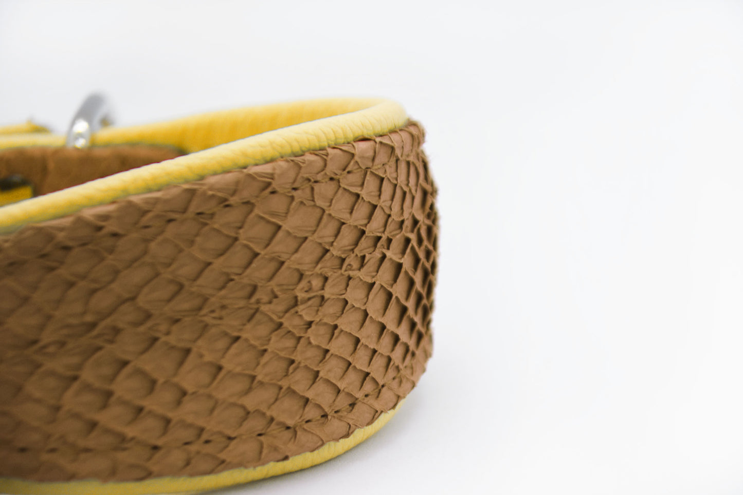 LACHSLEDER Halsband・Einzigartiges Windhundhalsband aus Fischleder