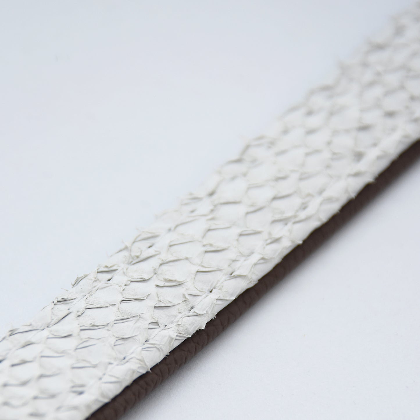 LACHSLEDER Halsband・Einzigartiges Windhundhalsband aus Fischleder