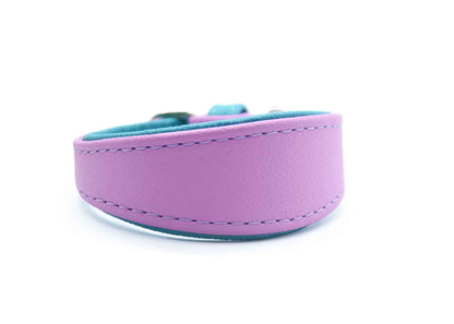 MINI BASIC- Breites Windhundhalsband für Kleinhunde/ Italienische Windspiele