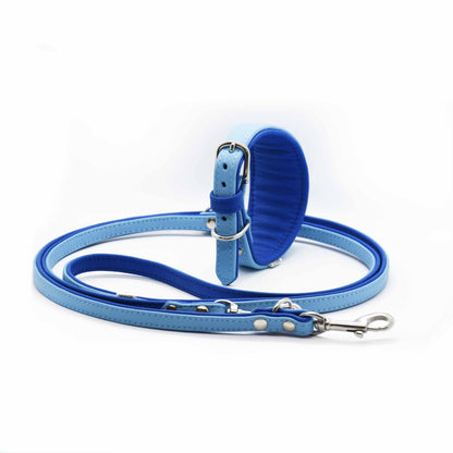 Zweifärbiges Premium Windhund Set aus Bioleder – handgefertigtes Halsband und Leine auf hellem Hintergrund
