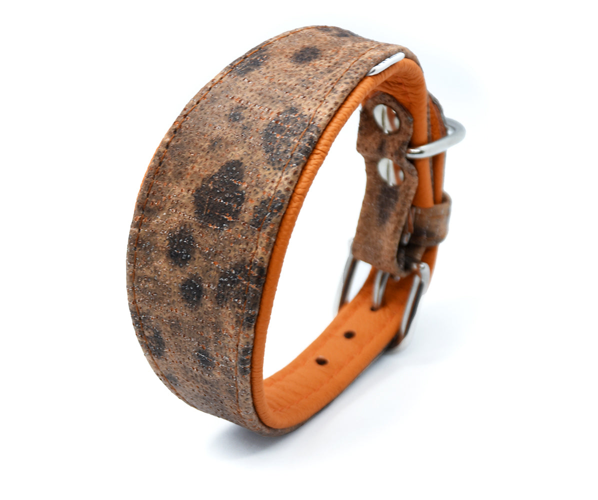 STEINBEIßER Halsband・Einzigartiges Fischleder-Halsband für Windhunde