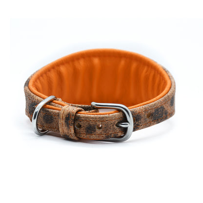 STEINBEIßER Halsband・Einzigartiges Fischleder-Halsband für Windhunde