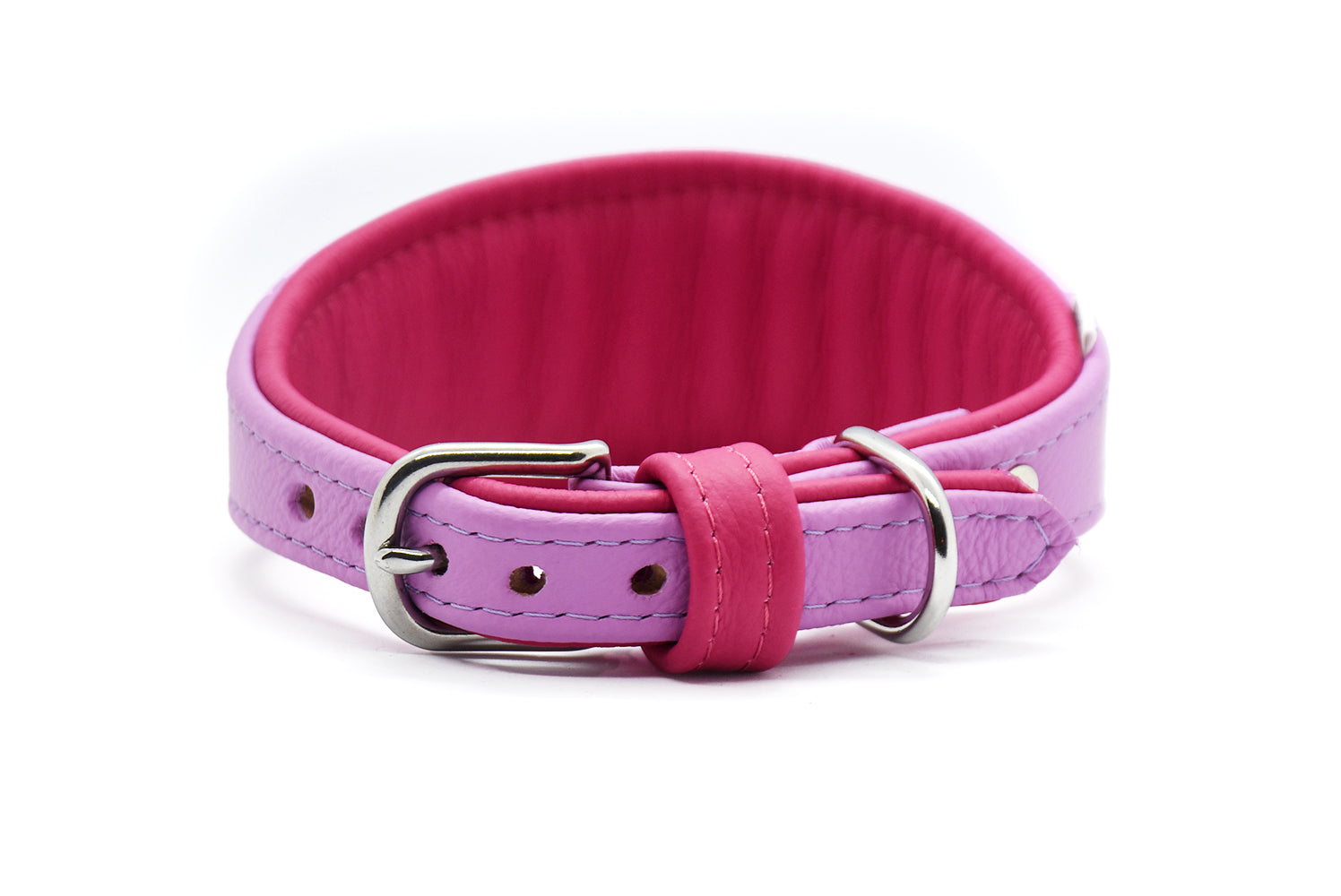 Design-Halsband für Windhunde mit hohem Tragekomfort