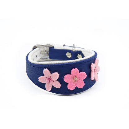 #2 SAKURA Windhundhalsband royalblau weiß 26-30cm
