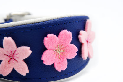#2 SAKURA Windhundhalsband royalblau weiß 26-30cm