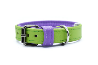 BASIC Hundehalsband schmal・Bio-Nappaleder・Maßgefertigtes Hundehalsband