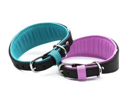 Stilvolles und funktionales Windhundhalsband aus Leder