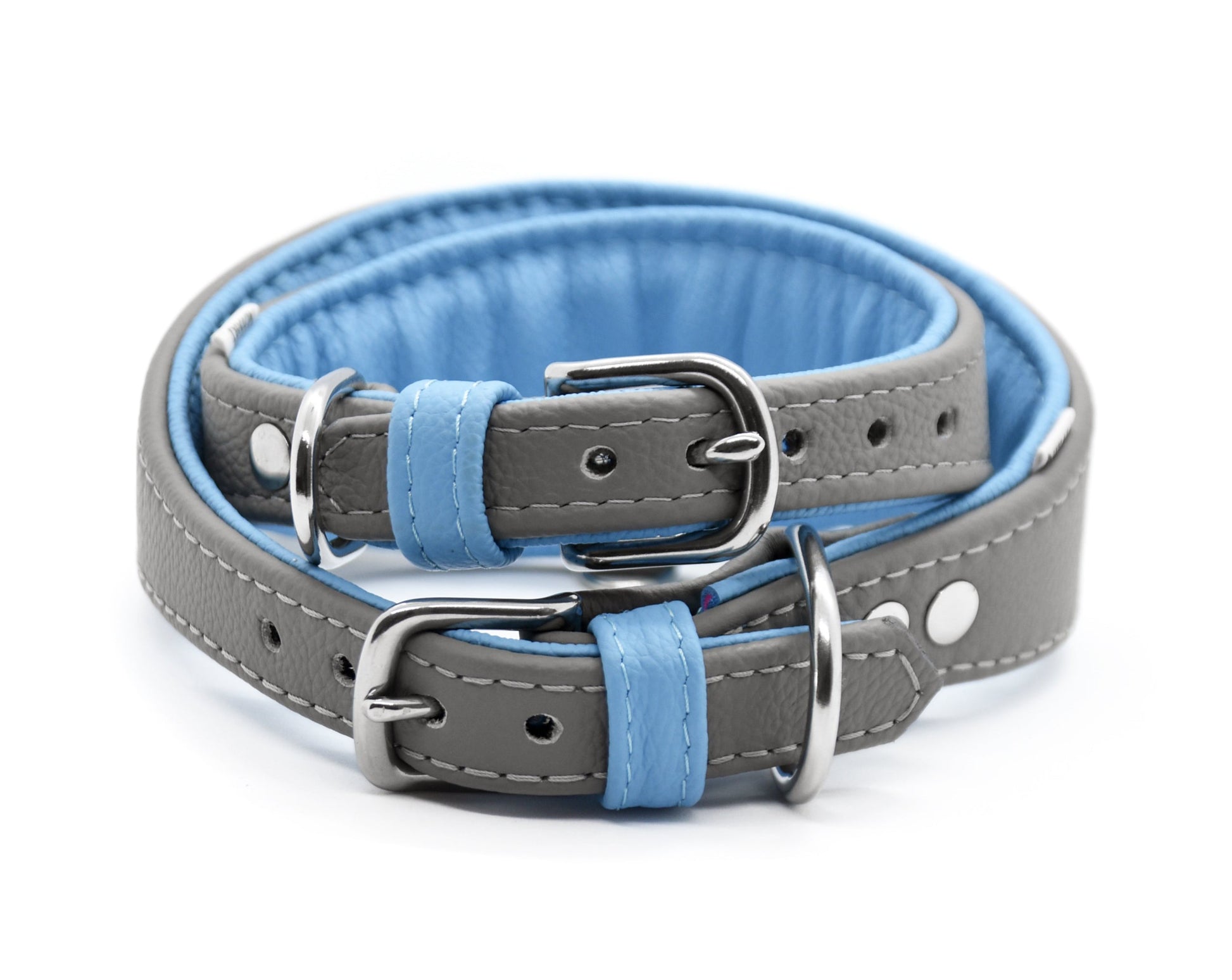 Luxuriöses Windhundhalsband mit weicher Innenpolsterung