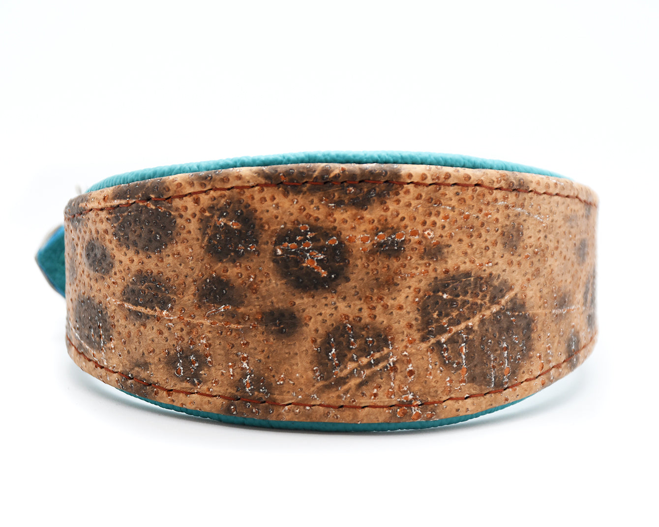 STEINBEIßER Halsband・Einzigartiges Fischleder-Halsband für Windhunde