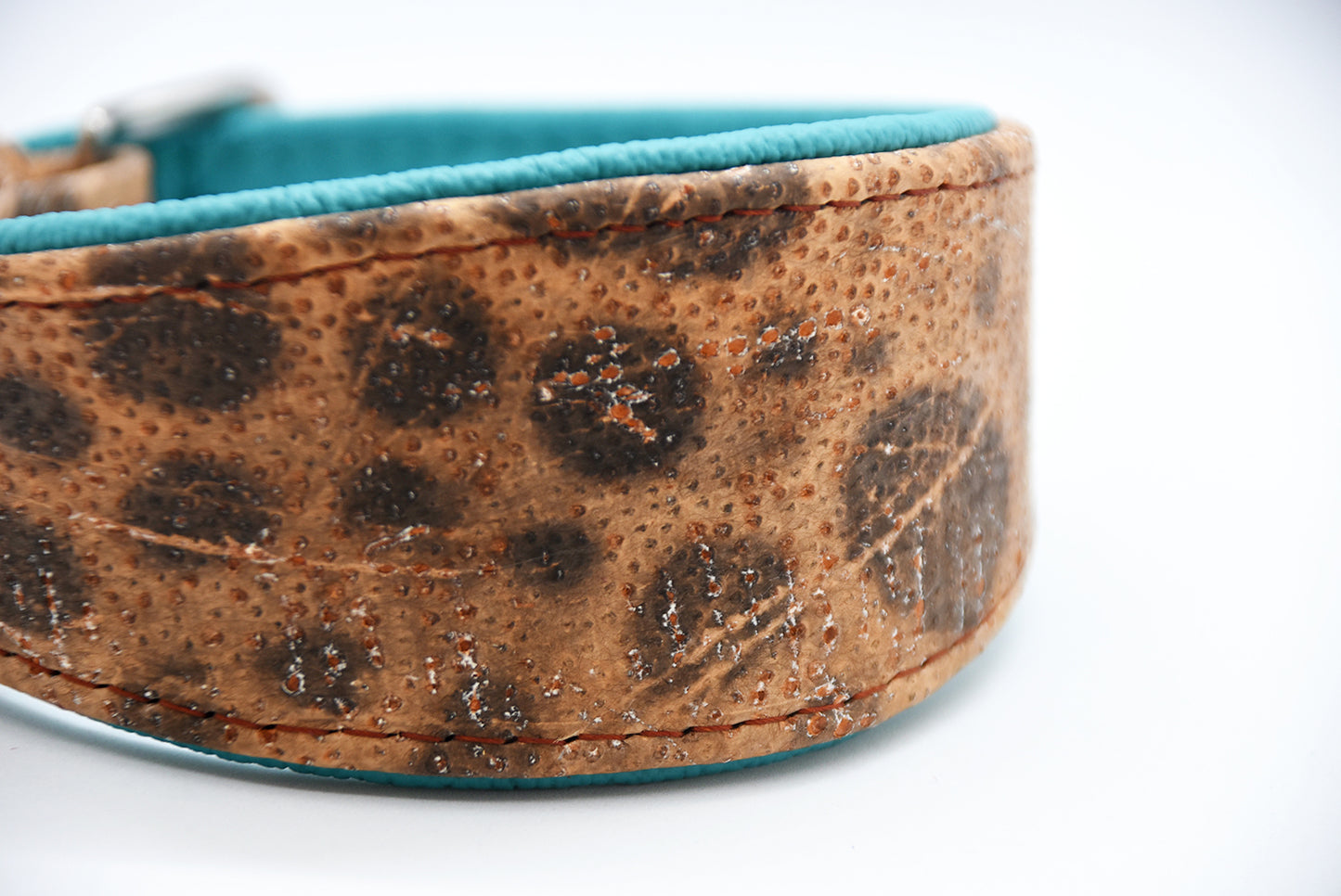 STEINBEIßER Halsband・Einzigartiges Fischleder-Halsband für Windhunde