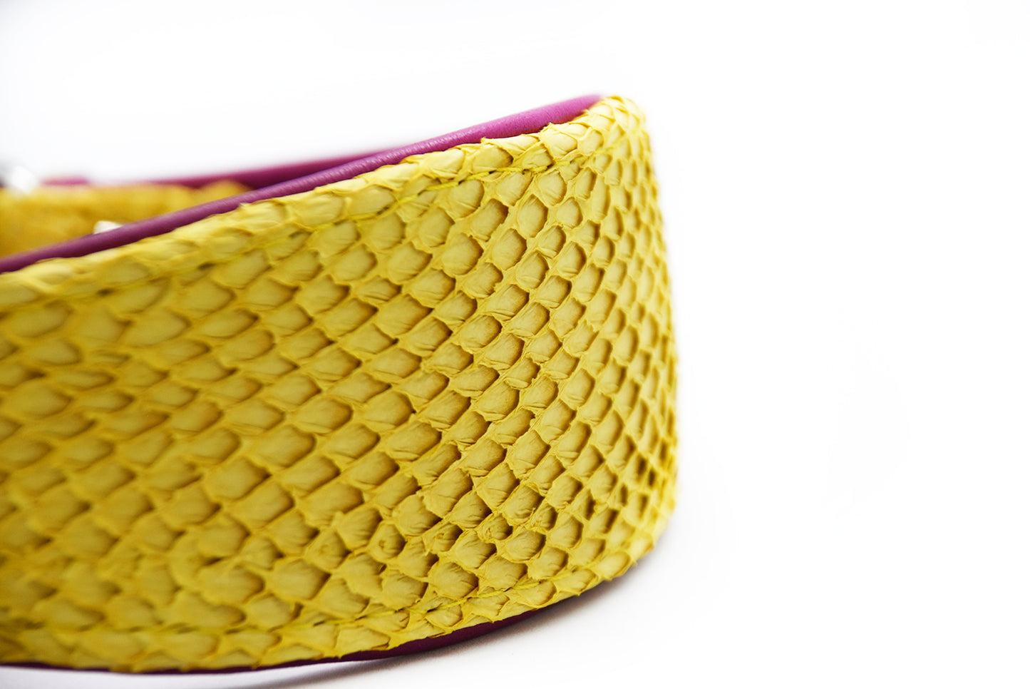 LACHSLEDER Halsband・Einzigartiges Windhundhalsband aus Fischleder