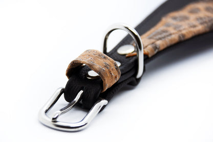 #3 STEINBEIßER 🐟 schwarz 26-30cm