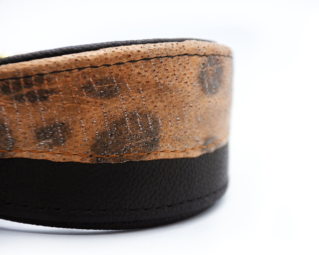 #4 STEINBEIßER 🐟 schwarz 30-35cm