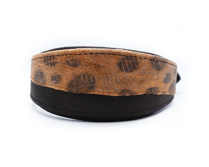 #4 STEINBEIßER 🐟 schwarz 30-35cm