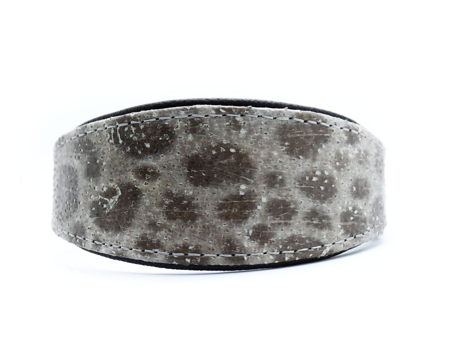 STEINBEIßER Halsband・Einzigartiges Fischleder-Halsband für Windhunde