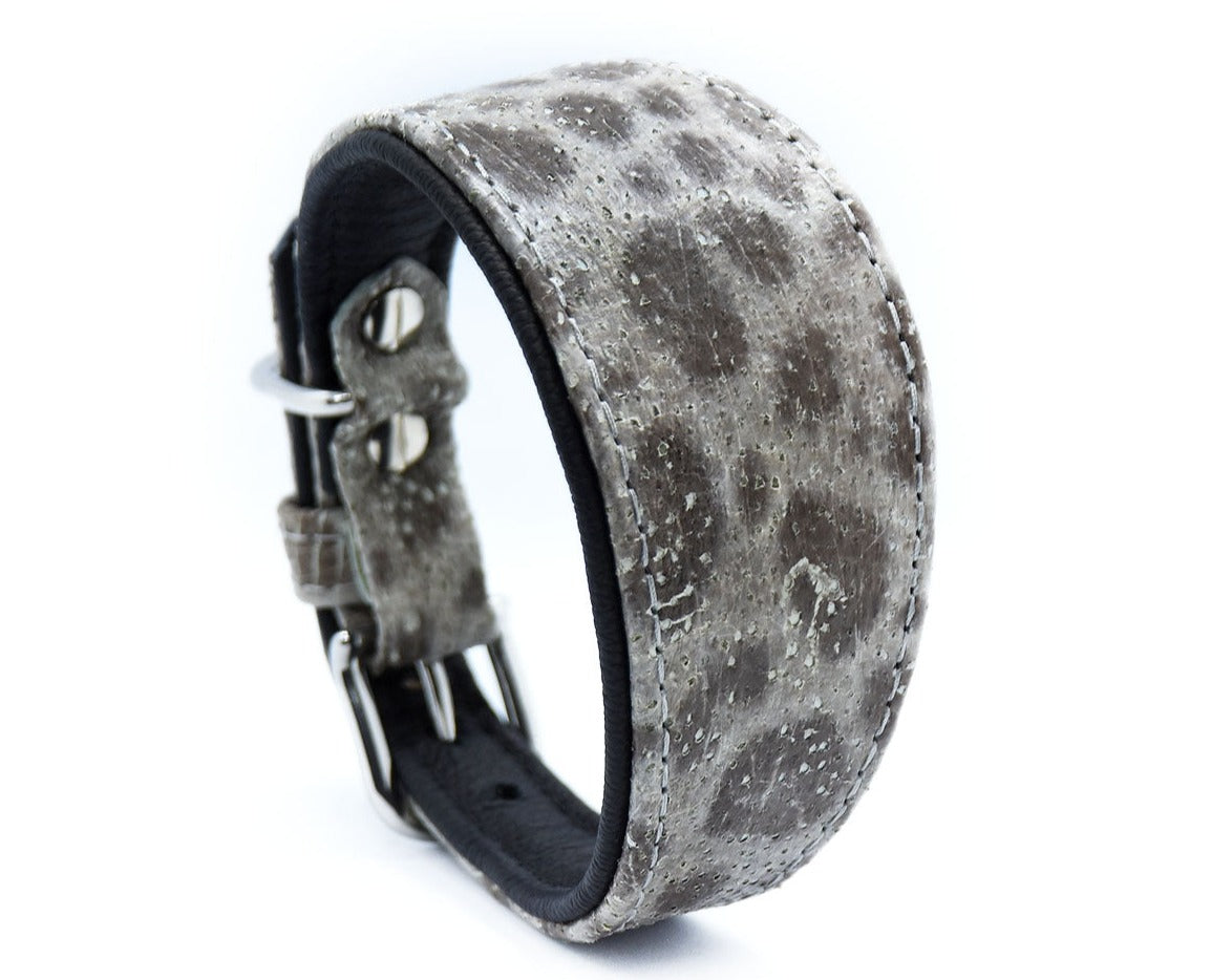 STEINBEIßER Halsband・Einzigartiges Fischleder-Halsband für Windhunde