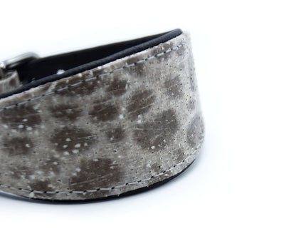 STEINBEIßER Halsband・Einzigartiges Fischleder-Halsband für Windhunde