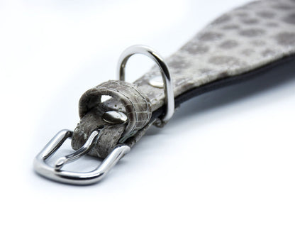 STEINBEIßER Halsband・Einzigartiges Fischleder-Halsband für Windhunde