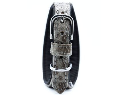 STEINBEIßER Halsband・Einzigartiges Fischleder-Halsband für Windhunde