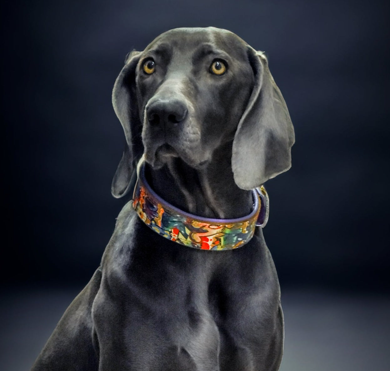 #5 GRAFFITI milkalila 43-48cm