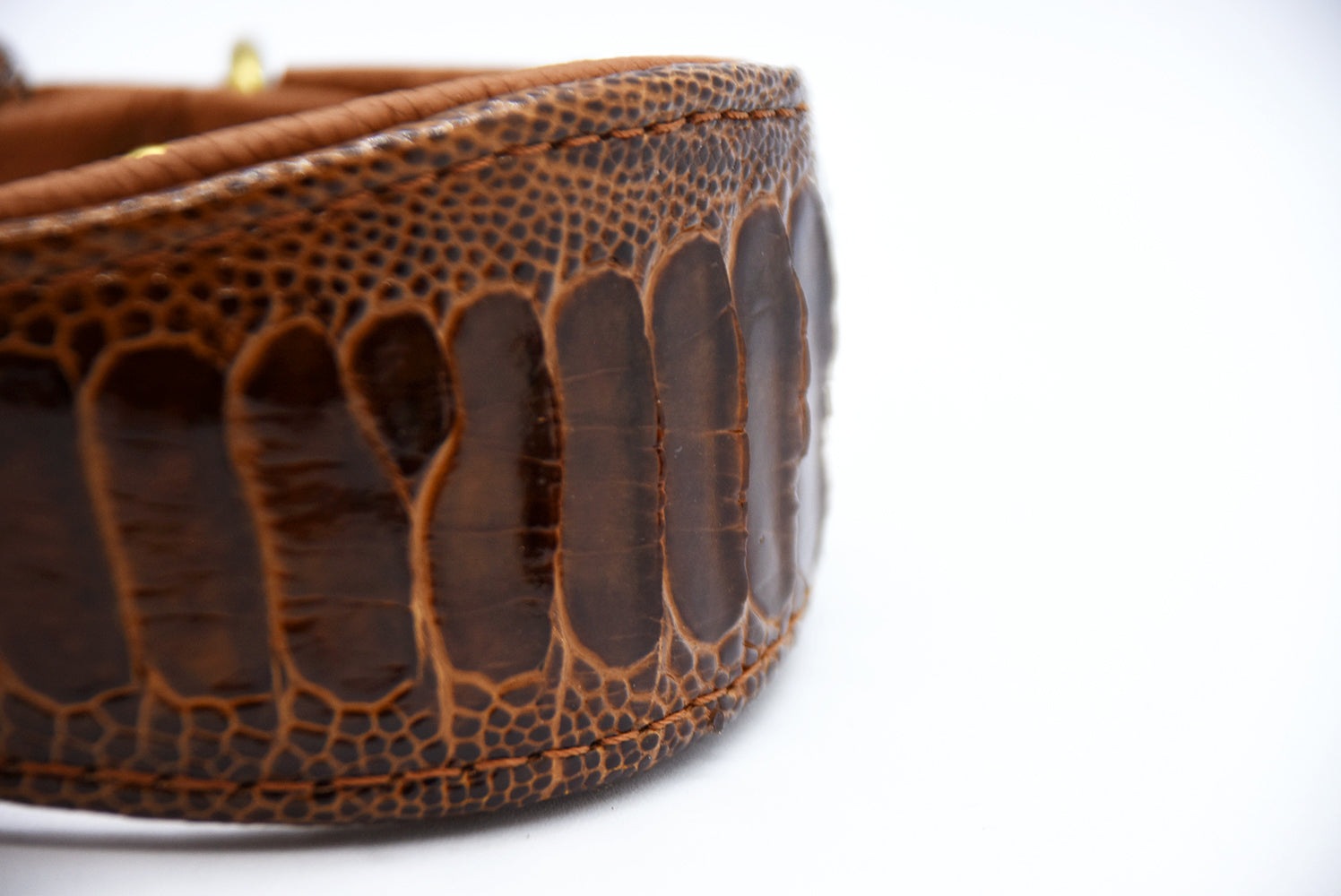 Hundehalsband aus exotischem Straußenbeinleder – elegant, robust und in Manufakturqualität gefertigt