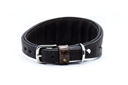 STÖRLEDER Halsband・exklusiv・Einzigartiges Windhundhalsband aus Störleder