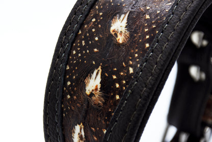 STÖRLEDER Halsband・exklusiv・Einzigartiges Windhundhalsband aus Störleder