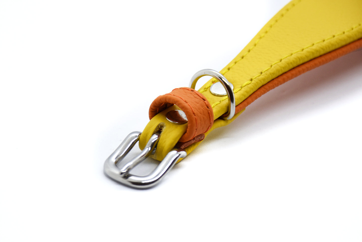 MINI BASIC- Breites Windhundhalsband für Kleinhunde/ Italienische Windspiele