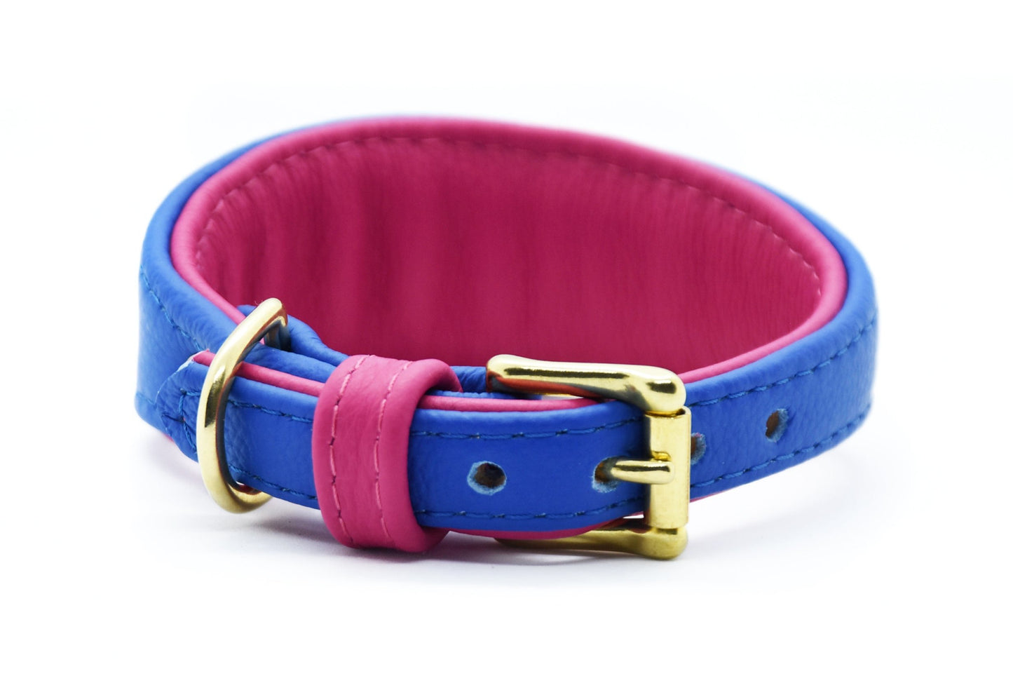 MINI BASIC- Breites Windhundhalsband für Kleinhunde/ Italienische Windspiele