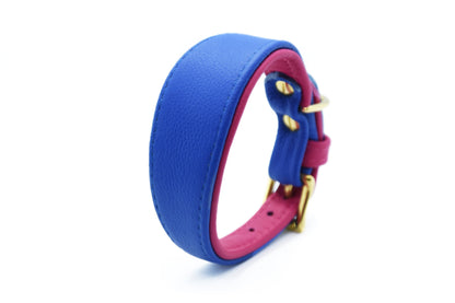 MINI BASIC- Breites Windhundhalsband für Kleinhunde/ Italienische Windspiele