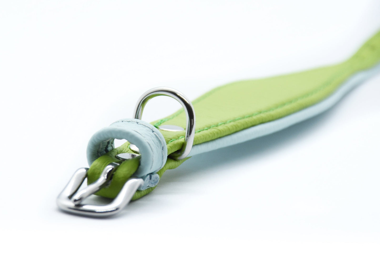 MINI BASIC- Breites Windhundhalsband für Kleinhunde/ Italienische Windspiele