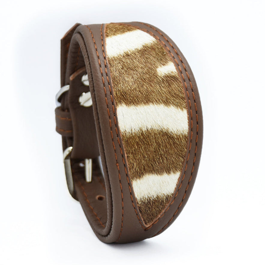 ZEBRAFELL Halsband・exotisches Windhundhalsband aus Zebrafell und Nappaleder
