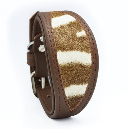 ZEBRAFELL Halsband・exotisches Windhundhalsband aus Zebrafell und Nappaleder