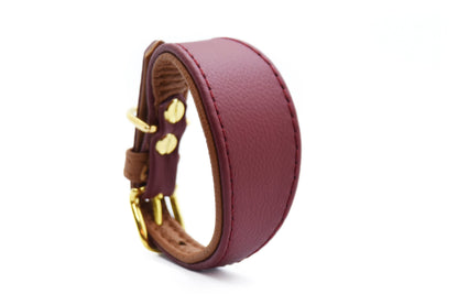 MINI BASIC- Breites Windhundhalsband für Kleinhunde/ Italienische Windspiele