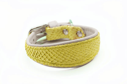 LACHSLEDER Halsband・Einzigartiges Windhundhalsband aus Fischleder